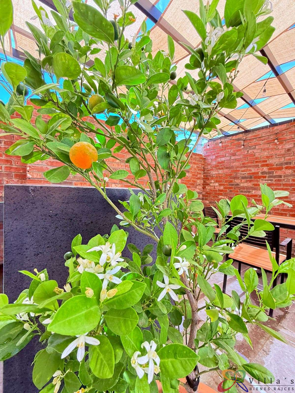 WhatsApp Image 2026-04-25 at 10.34.53 AM (3).jpg